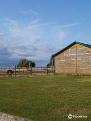 Eco-Farm Izborsk Ostrich