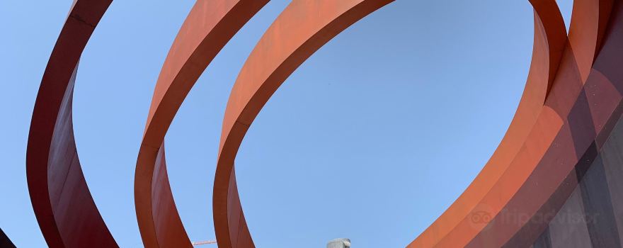 Ezor Holon