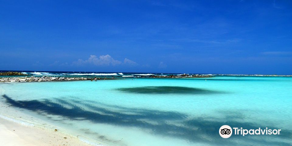 travel
