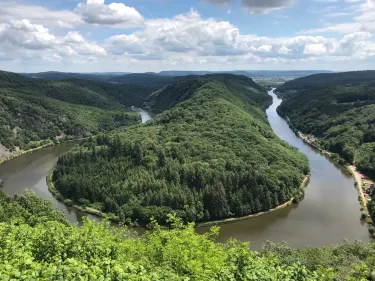 Orscholz