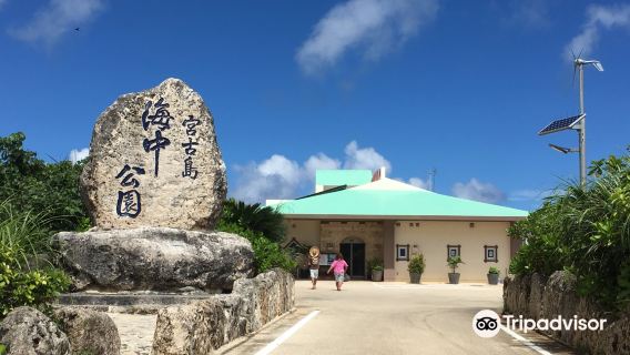 Miyako Island Underwater Park