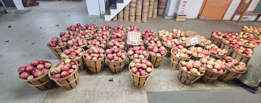 Pryors Orchards