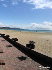 Doheny State Beach