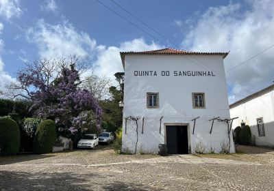 Quinta do Sanguinhal