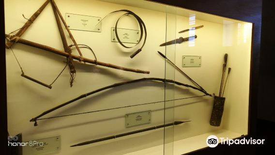 Wayanad Heritage Museum, Ambalavayal