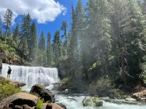 McCloud Falls - Upper Fall