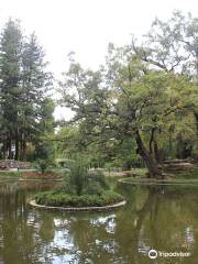 Zugdidi Botanical Garden
