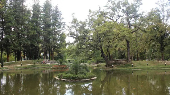 Zugdidi Botanical Garden