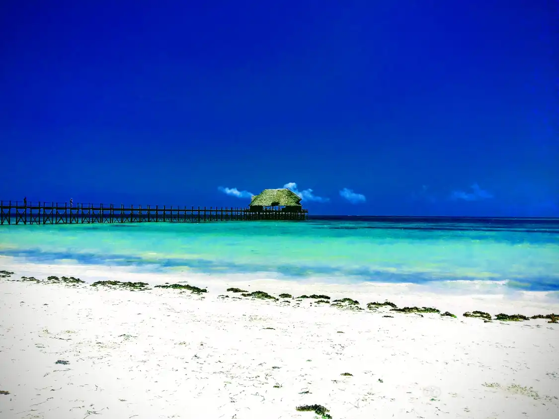 Hotels near Kiwengwa Beach