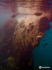 Sunken Japanese Wrecks