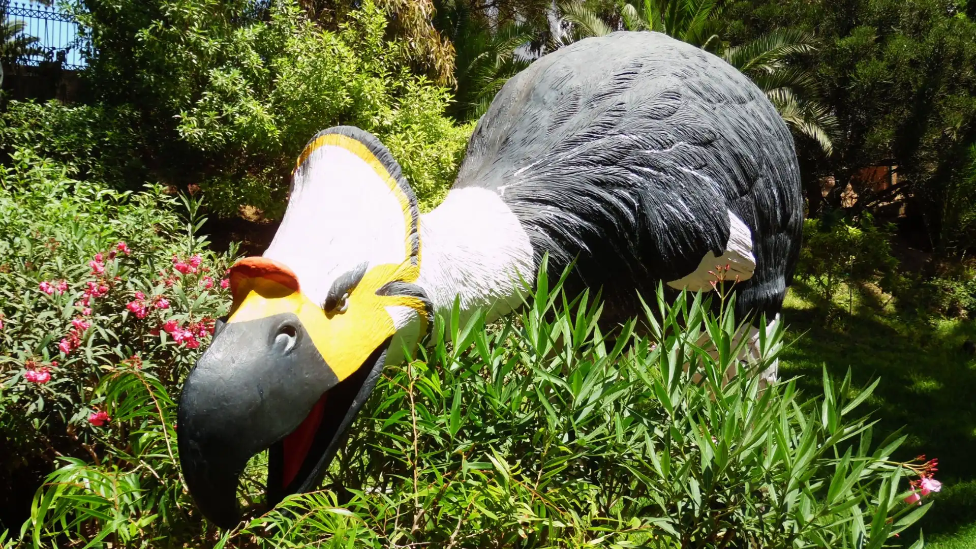 Hotels near Vallee des Oiseaux