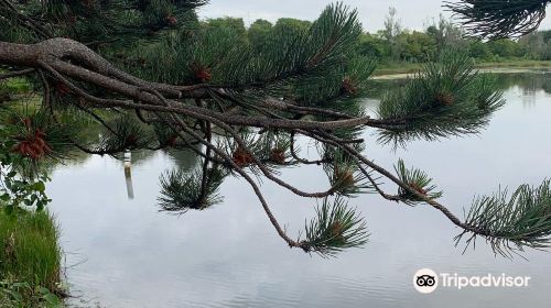 Booterstown Bird Sanctuary