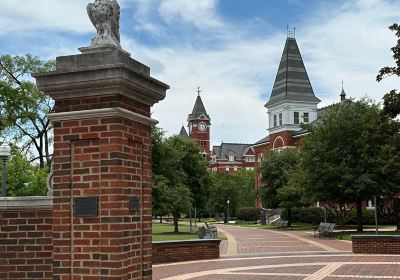 Toomer's Corner