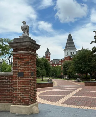 Auburn
