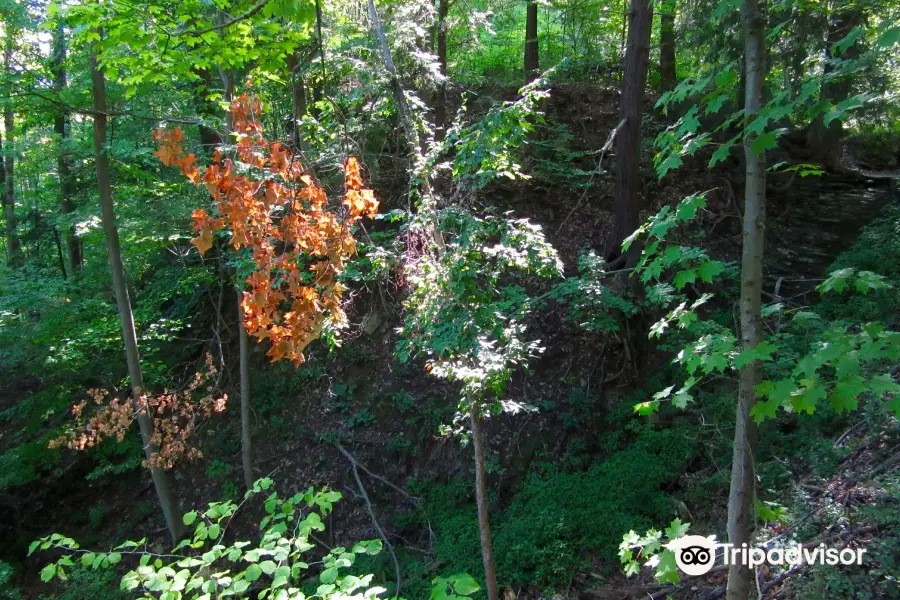 Beamer Memorial Conservation Area