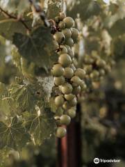 Uwharrie Vineyards & Winery