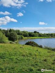 Garn Lakes