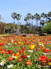 鹿兒島鮮花公園