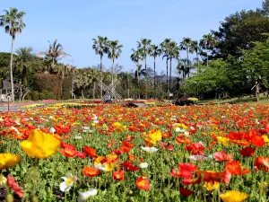 Flower Park Kagoshima