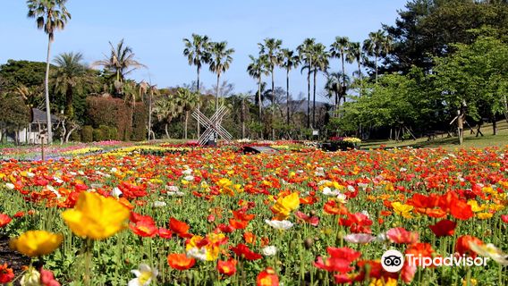 Flower Park Kagoshima