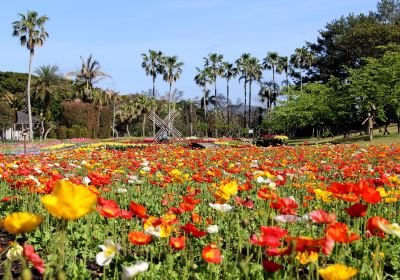 Parque de las Flores de Kagoshima