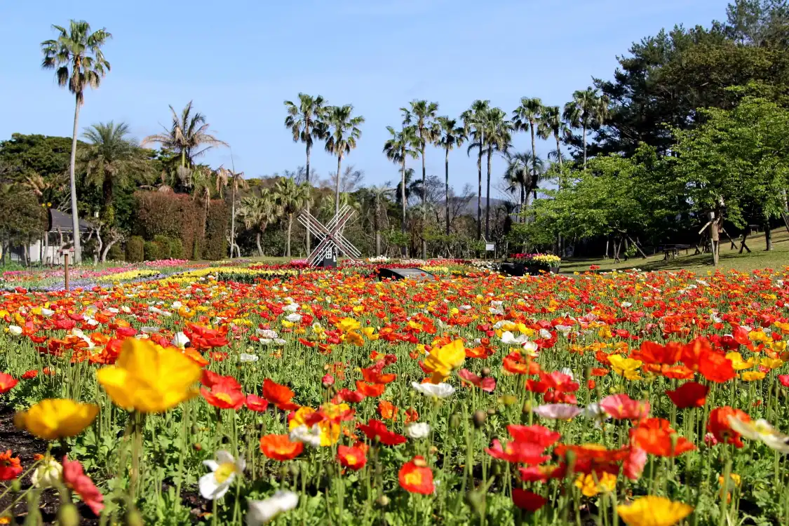 Hotels near Flower Park Kagoshima