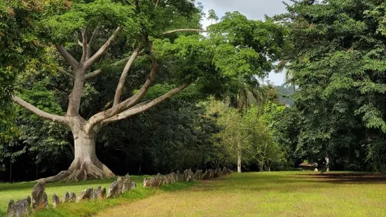 Caguana Ceremonial Park and Museum