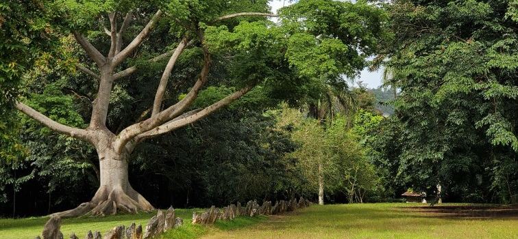 Caguana Ceremonial Park and Museum