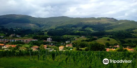 Doniene Gorrondona Txakolina