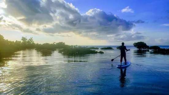 2 Winds Paddle Sports - Zanzibar