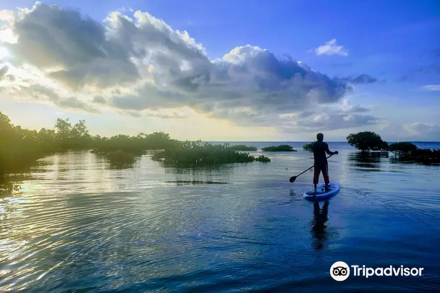 2 Winds Paddle Sports - Zanzibar