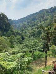 Curug Cibulao