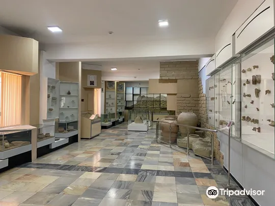 2_Afrasiyab Museum