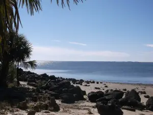 Fort Island Gulf Beach