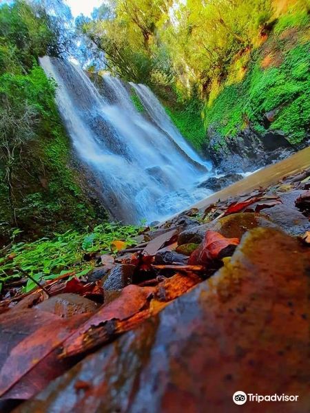 voo Belém para Pato Branco