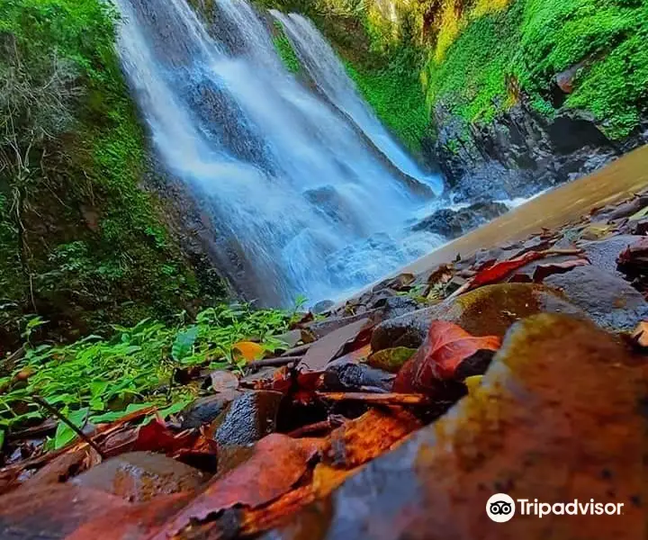 Cachoeira (Waterfalls) Olivo