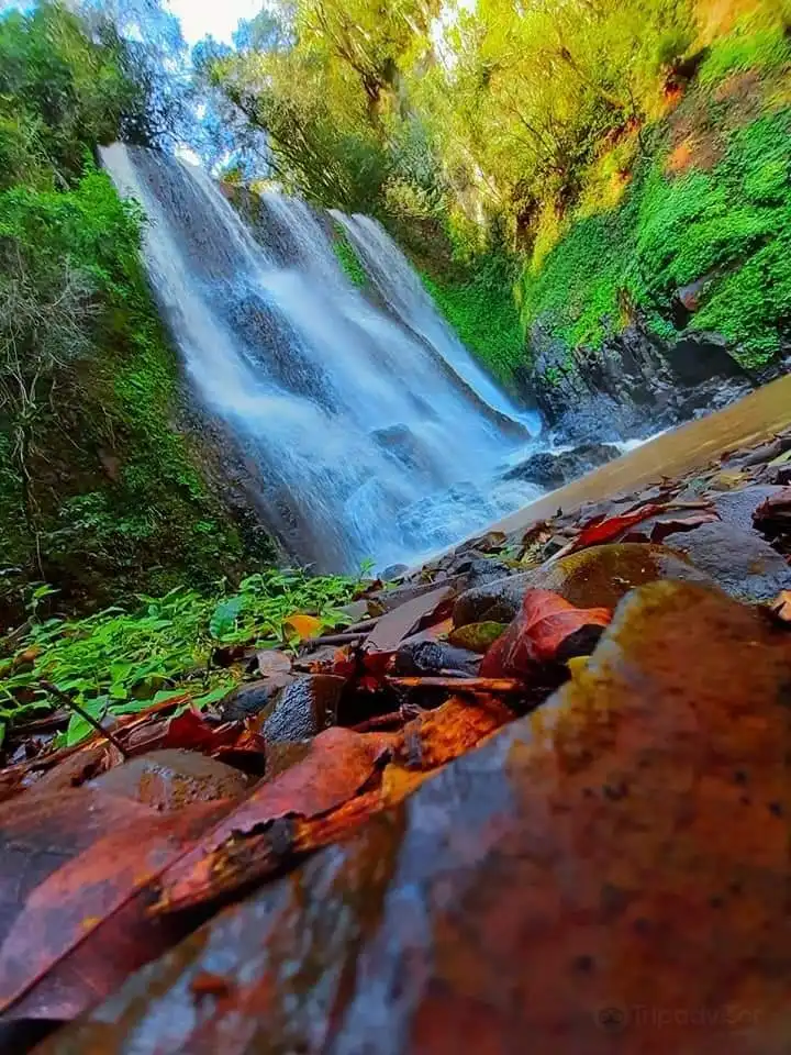 Hotels in Pato Branco