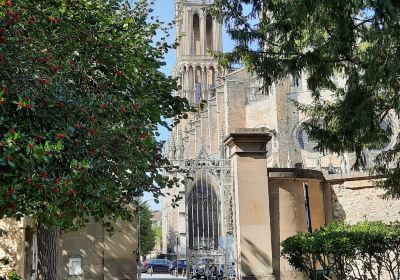 Collegiale Notre-Dame de Mantes-la-Jolie
