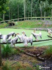 ファン・ブランケンダール公園