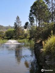 Warriewood Wetlands