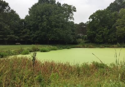 Font Hills Wetlands Park