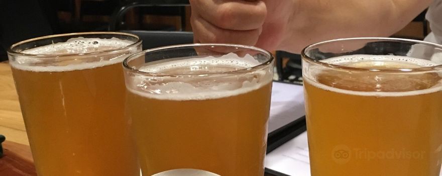 Bullfrog Brewery