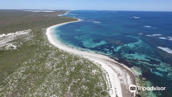 Australian Pinnacles + Nambung National Park + Cervantes + Yanchep National Park one-day tour