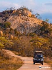 Nhongo Safaris®