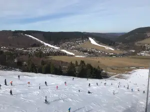 ヴィリンゲン・スキーリゾート