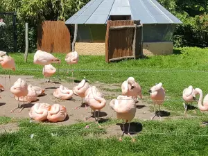 Zoo Landau in der Pfalz