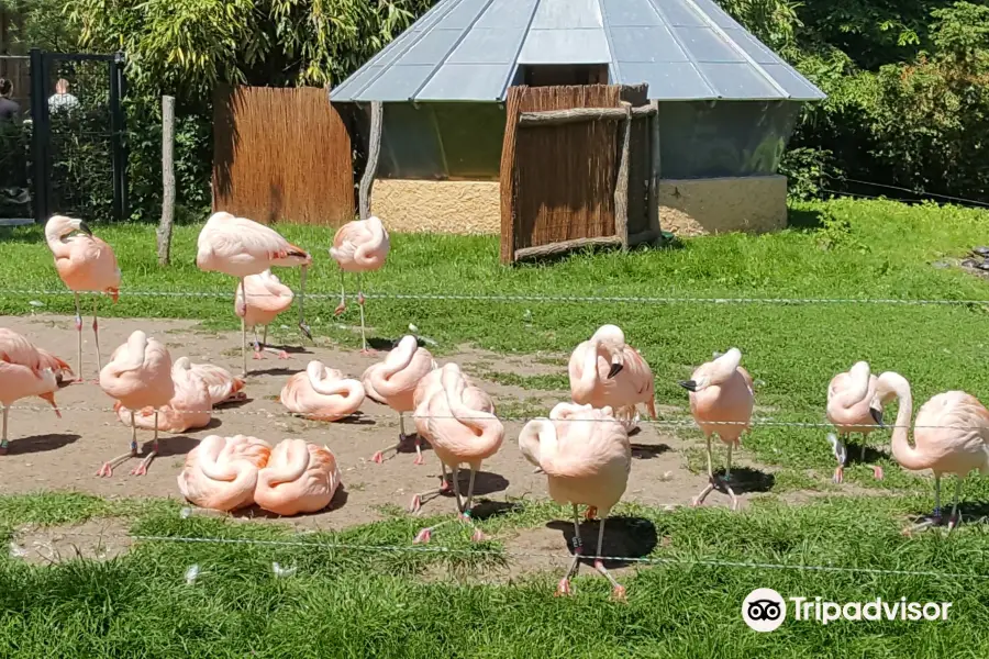 Zoo Landau in der Pfalz