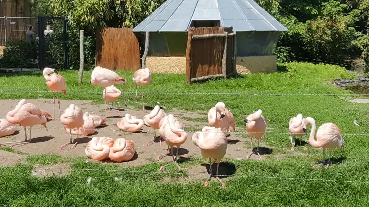 Hotels in der Nähe von Zoo Landau in der Pfalz