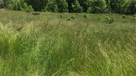 Ragle Ranch Regional Park