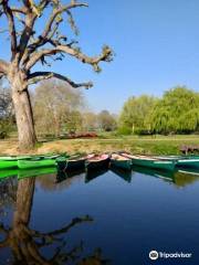 Millside Canoe Hire